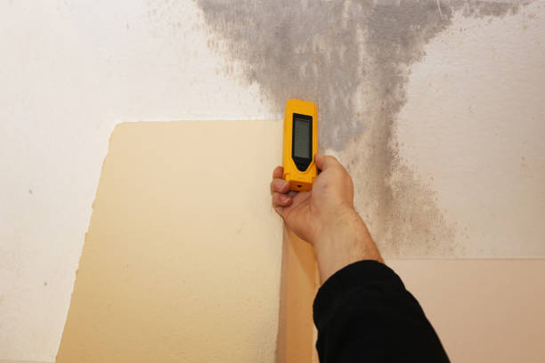 Best Real Estate Mold Inspection  in Worthington, KY