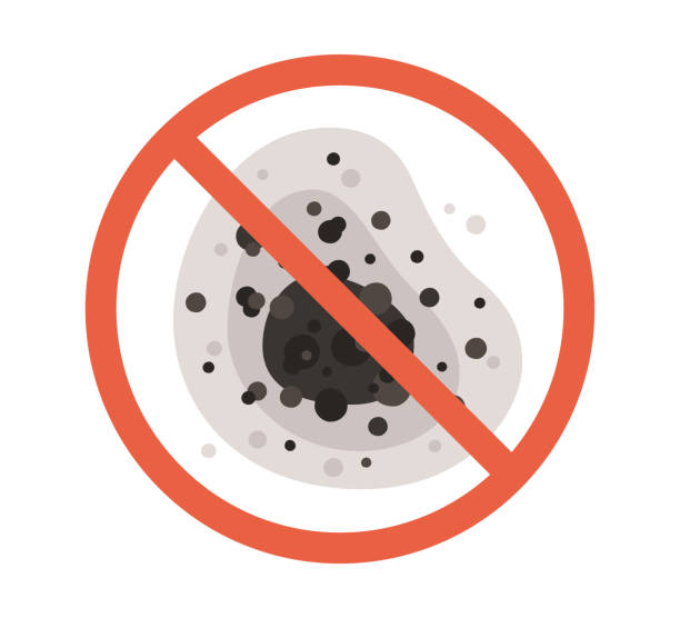 Best Environmental Consulting for Mold Prevention  in Worthington, KY