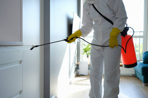Best Biohazard Mold Removal  in Worthington, KY
