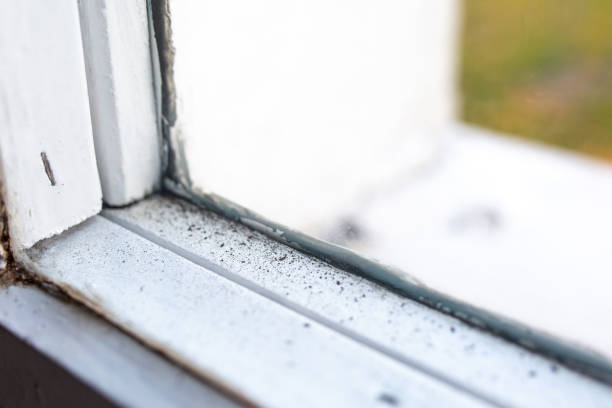 Dehumidification Services in Worthington, KY