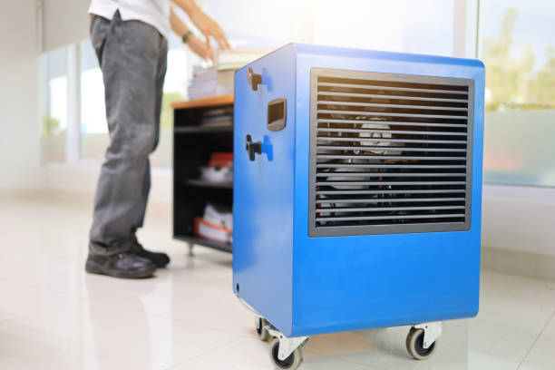 Best Mold Remediation for Healthcare Facilities  in Worthington, KY