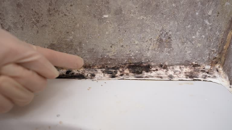 Best HVAC Mold Inspection and Cleaning  in Worthington, KY